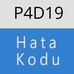 P4D19 hatasi