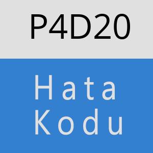 P4D20 hatasi