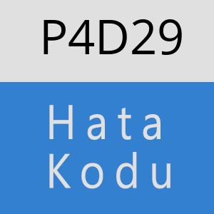 P4D29 hatasi