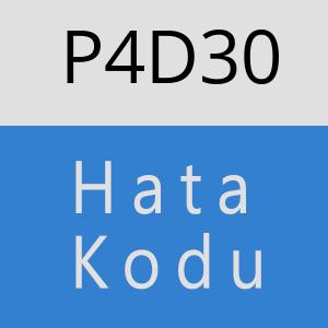 P4D30 hatasi