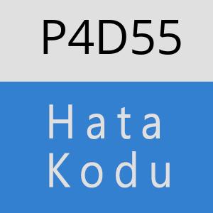 P4D55 hatasi