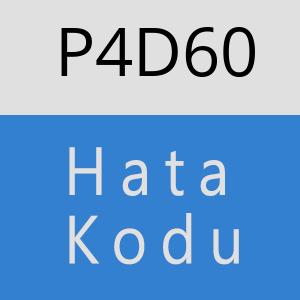 P4D60 hatasi