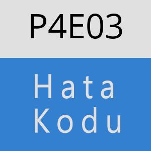 P4E03 hatasi