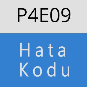 P4E09 hatasi