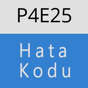 P4E25 hatasi