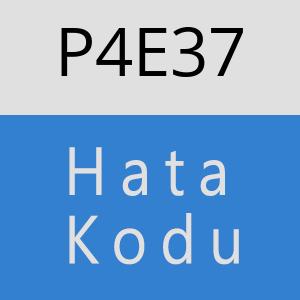 P4E37 hatasi