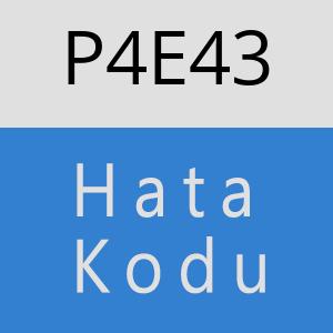 P4E43 hatasi