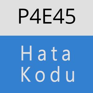 P4E45 hatasi