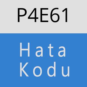 P4E61 hatasi