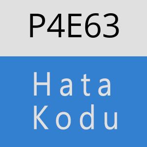 P4E63 hatasi