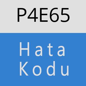 P4E65 hatasi