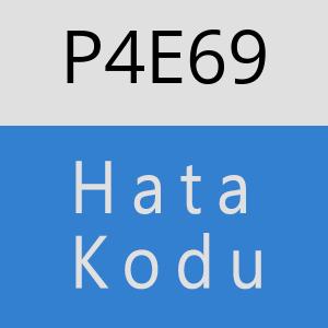 P4E69 hatasi