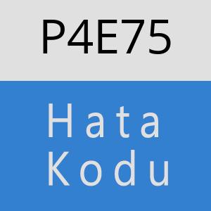 P4E75 hatasi