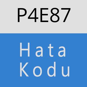 P4E87 hatasi