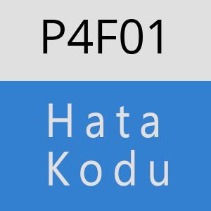 P4F01 hatasi