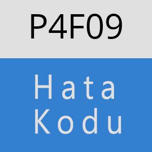 P4F09 hatasi