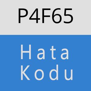 P4F65 hatasi