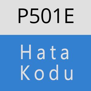 P501E hatasi