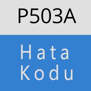 P503A hatasi