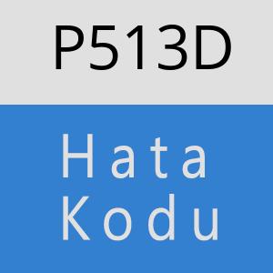 P513D hatasi