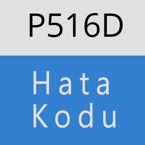 P516D hatasi