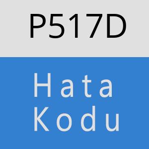 P517D hatasi