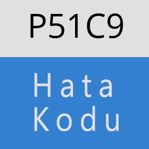 P51C9 hatasi