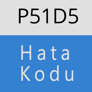 P51D5 hatasi