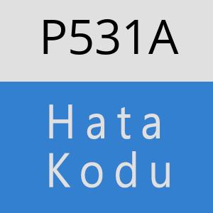 P531A hatasi