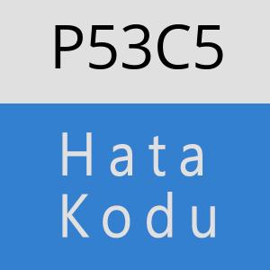 P53C5 hatasi