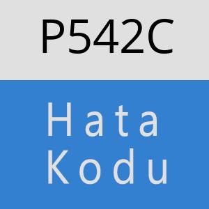 P542C hatasi