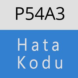 P54A3 hatasi