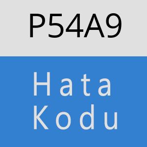 P54A9 hatasi