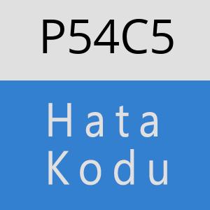 P54C5 hatasi