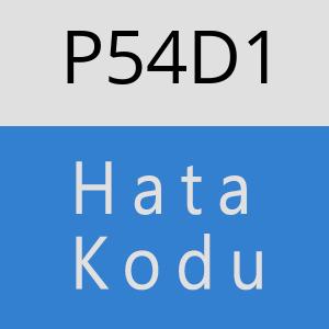 P54D1 hatasi