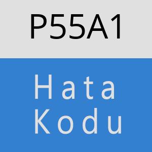 P55A1 hatasi