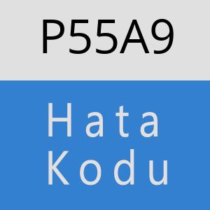 P55A9 hatasi