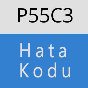 P55C3 hatasi