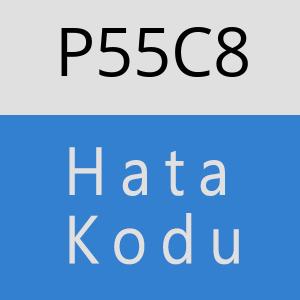 P55C8 hatasi