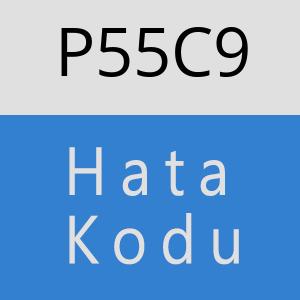 P55C9 hatasi