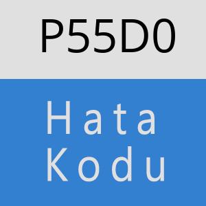 P55D0 hatasi