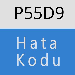 P55D9 hatasi