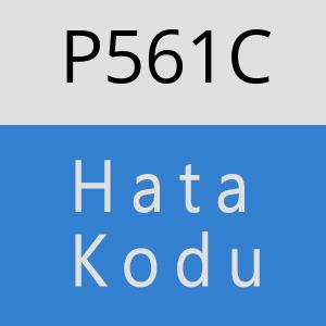 P561C hatasi