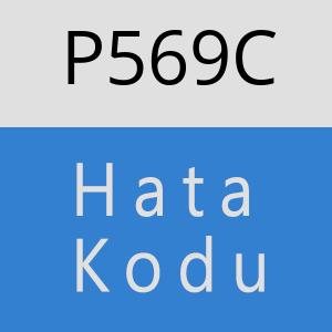 P569C hatasi