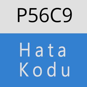 P56C9 hatasi