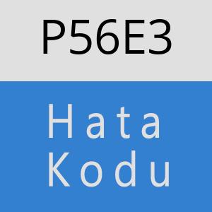 P56E3 hatasi