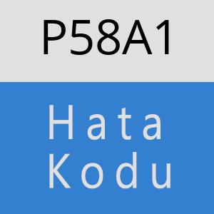 P58A1 hatasi