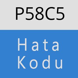 P58C5 hatasi