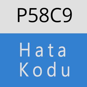 P58C9 hatasi