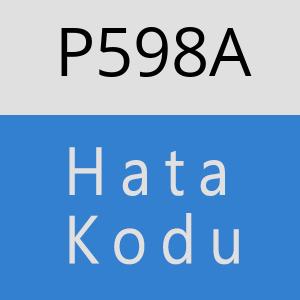 P598A hatasi